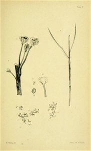 n374_w1150