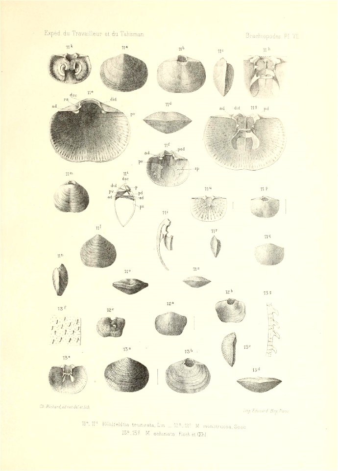 n162_w1150