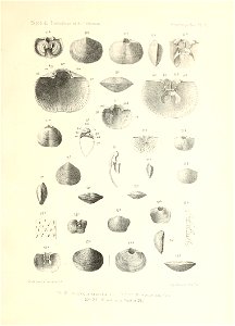 n162_w1150