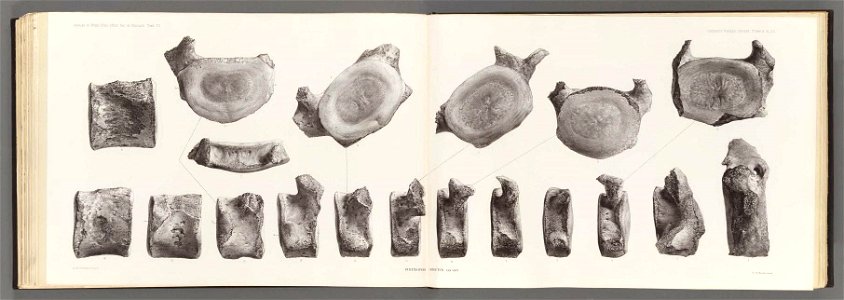 n261_w1150