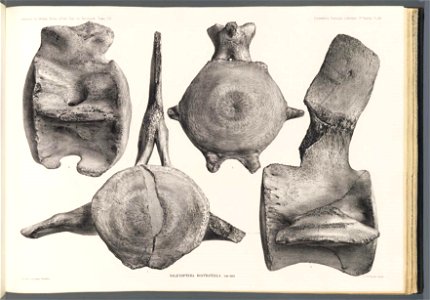 n199_w1150