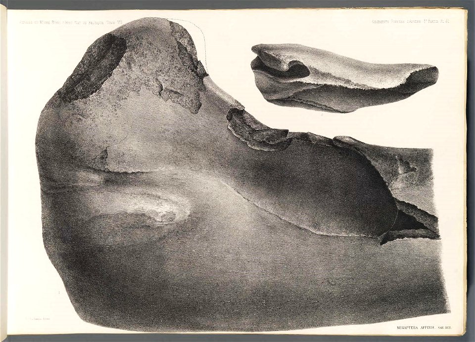 n15_w1150