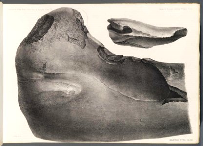 n15_w1150