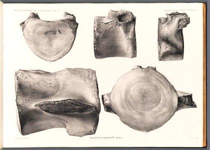 n39_w1150