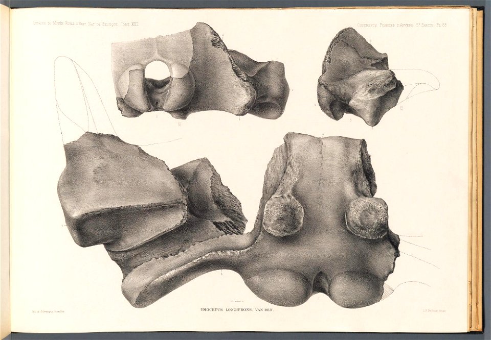n283_w1150