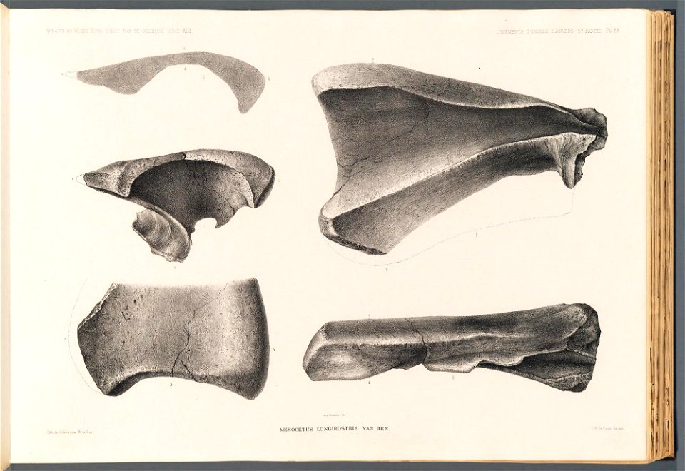 n160_w1150