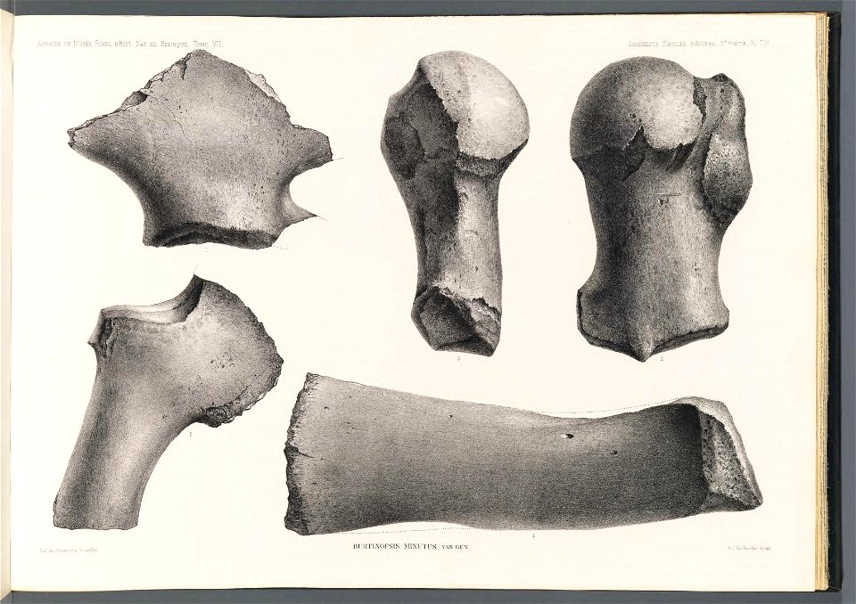n256_w1150