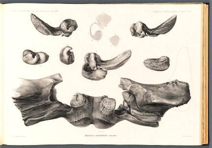 n279_w1150