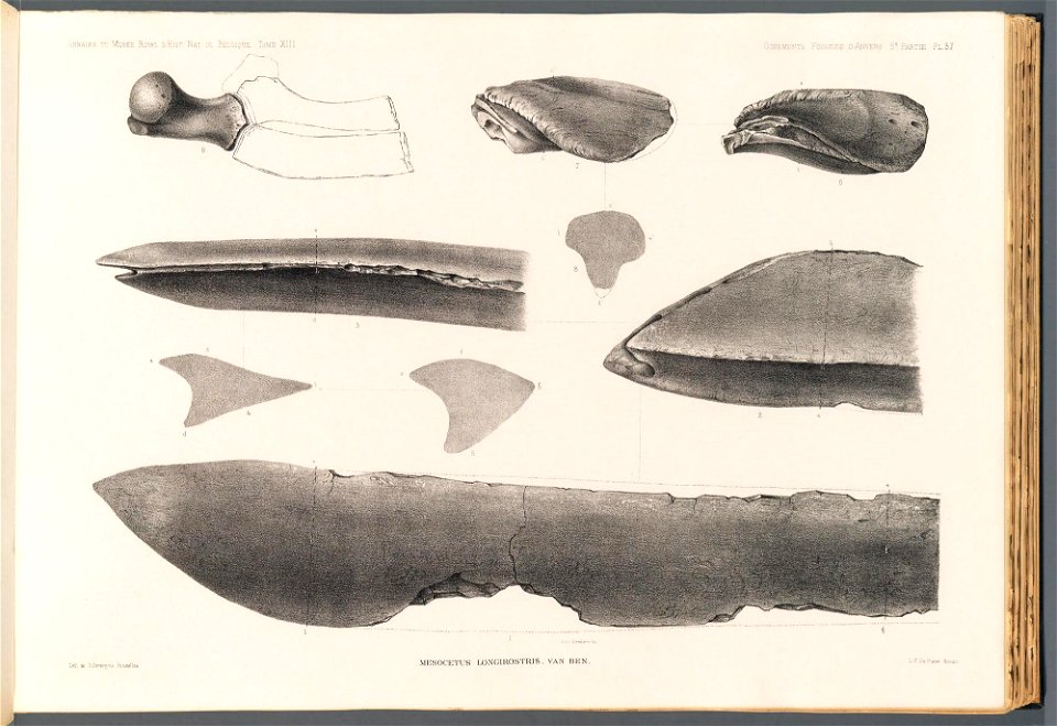n156_w1150