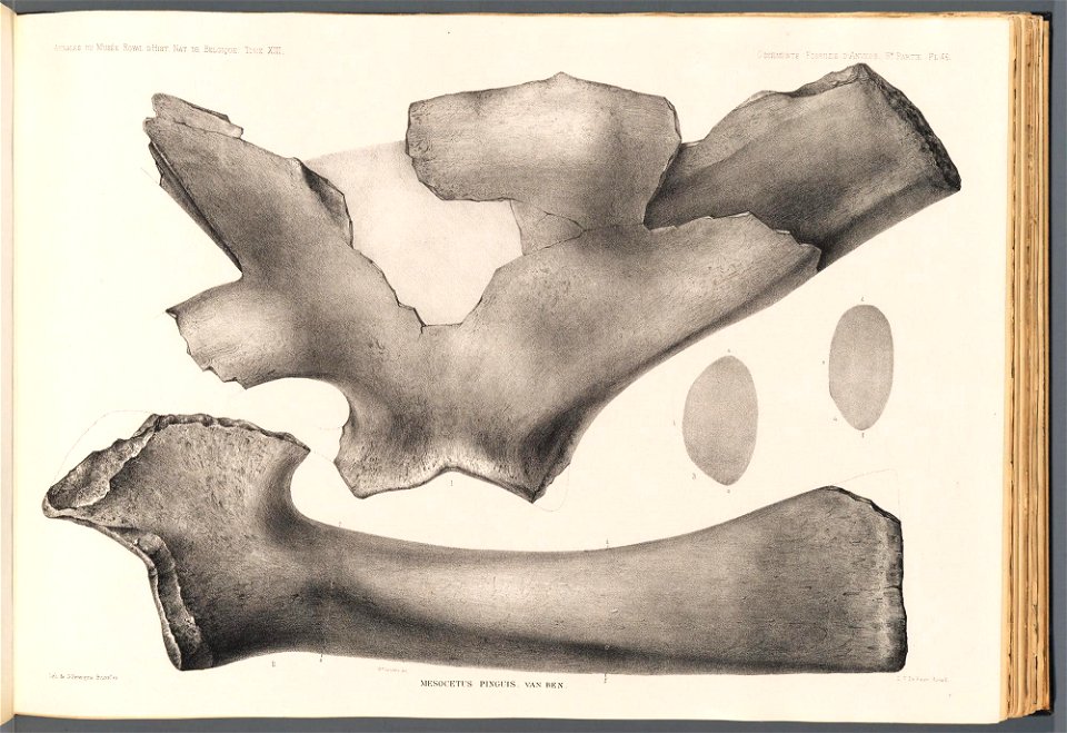 n206_w1150