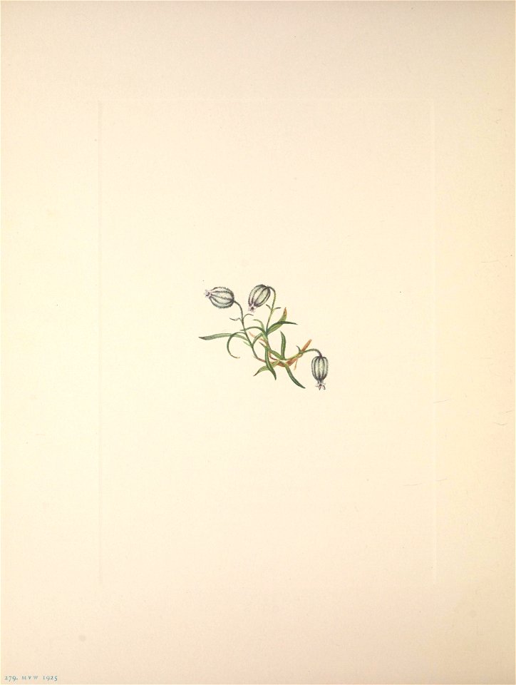 n168_w1150
