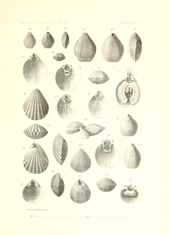 n152_w1150