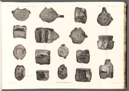 n55_w1150