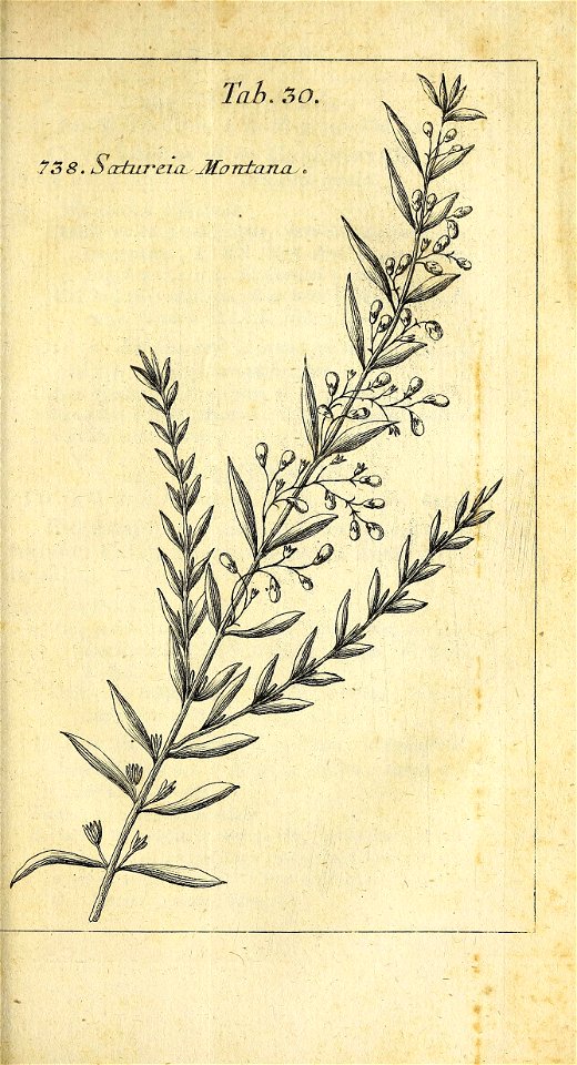 n566_w1150