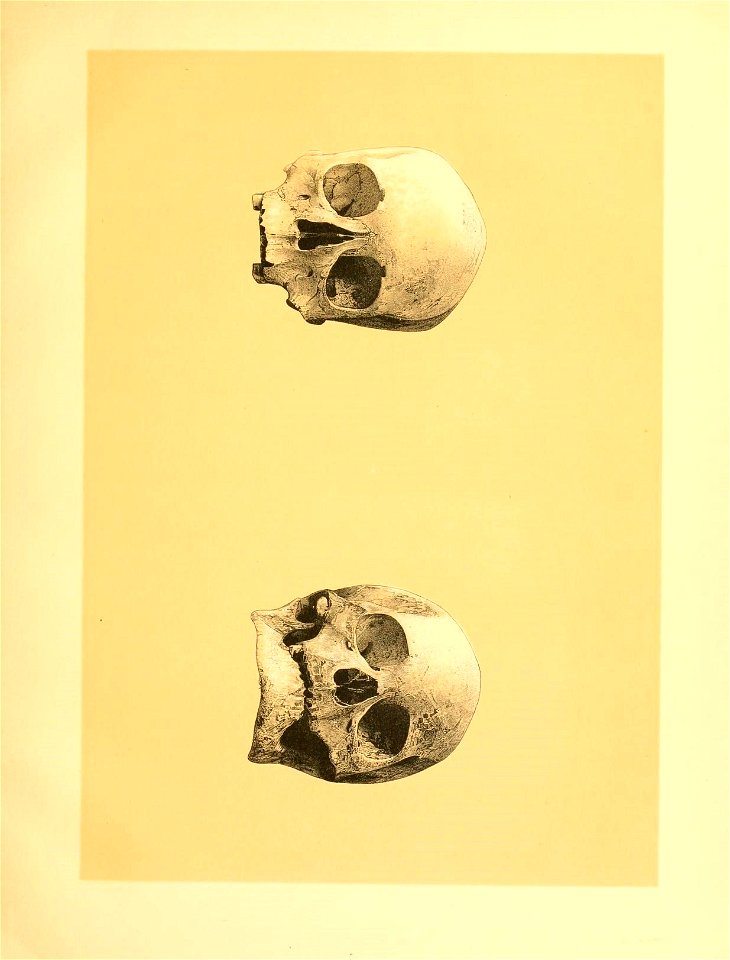 n58_w1150