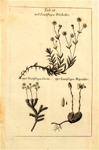n402_w1150