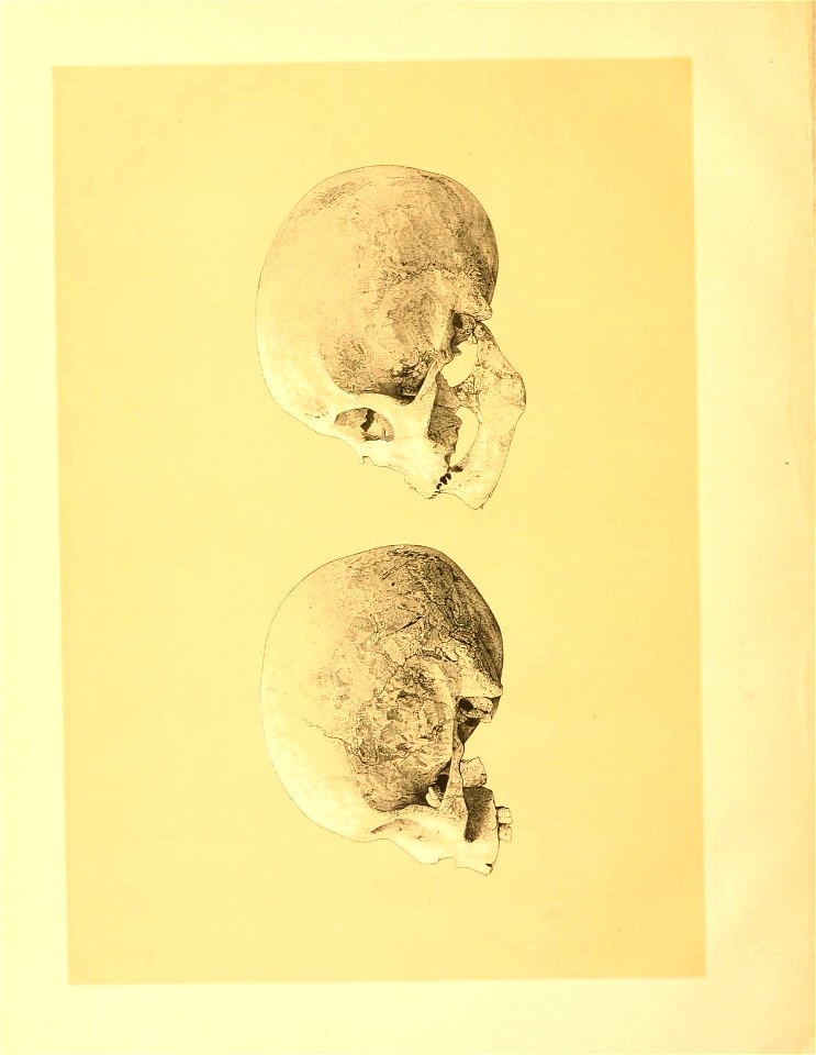 n55_w1150