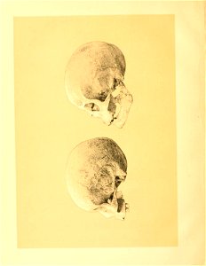 n55_w1150