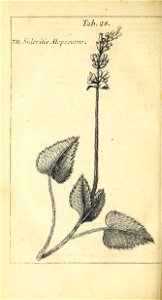 n547_w1150