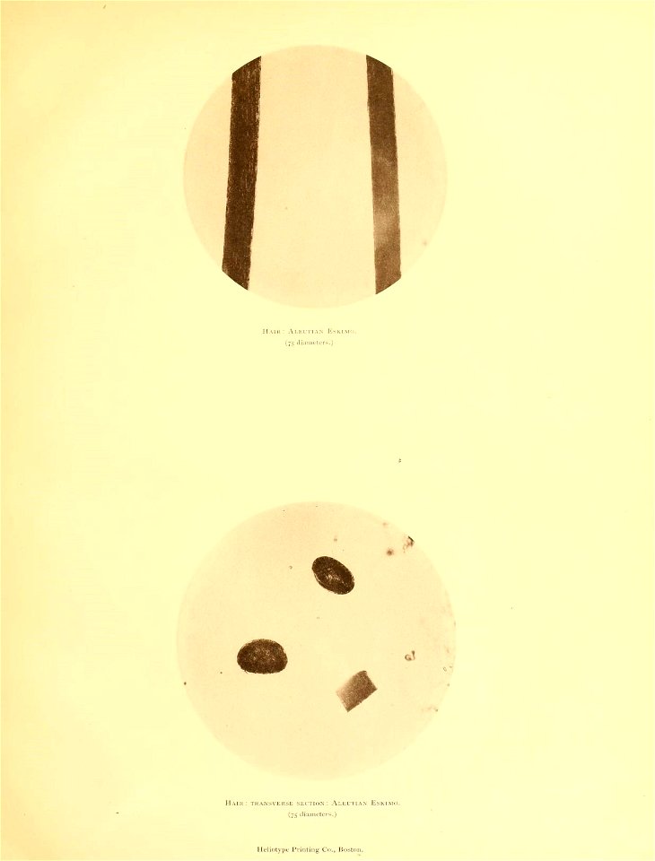 n38_w1150