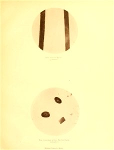 n38_w1150