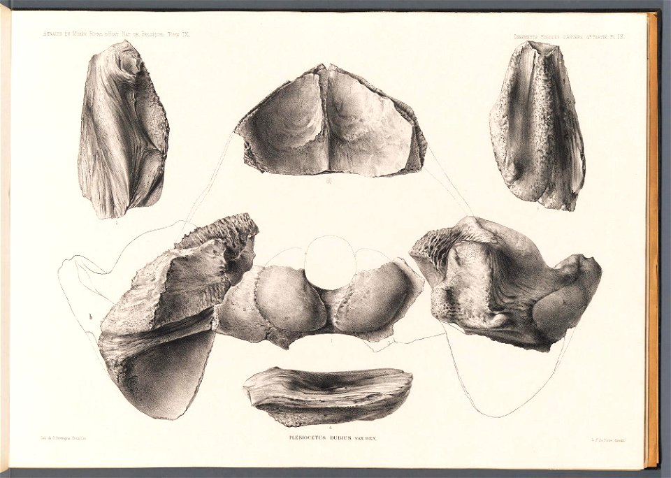 n55_w1150