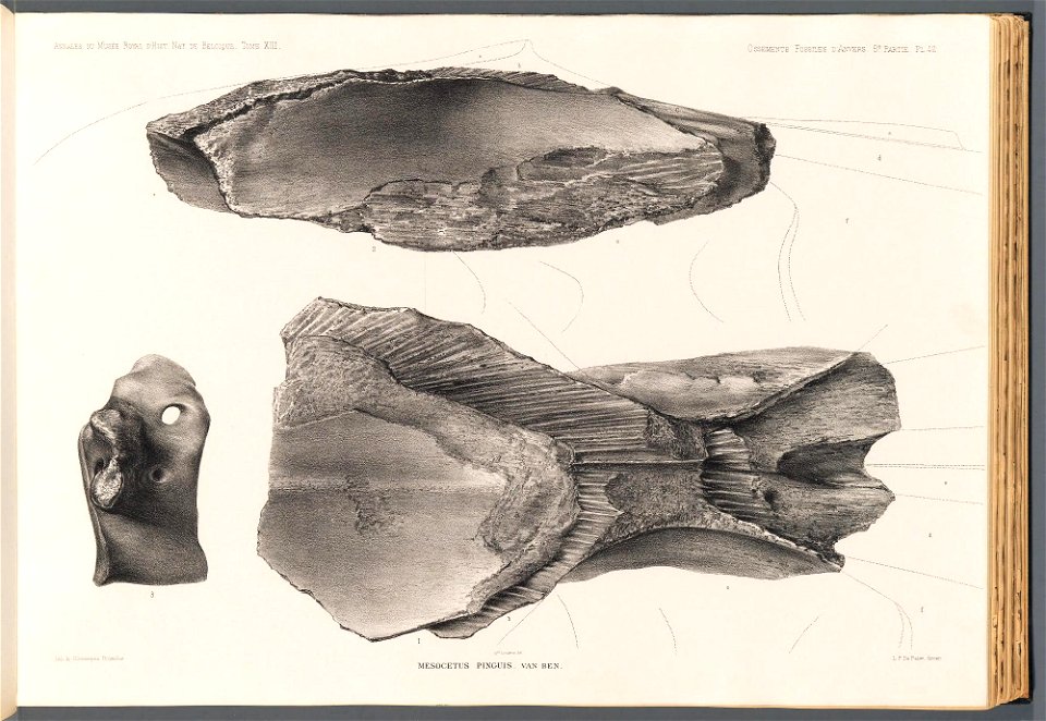 n177_w1150