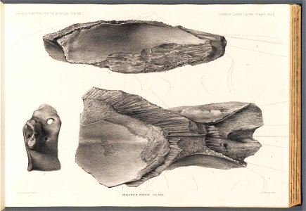 n177_w1150