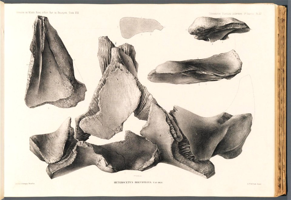 n115_w1150