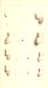 n446_w1150