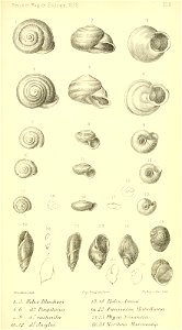n536_w1150