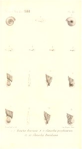 n516_w1150