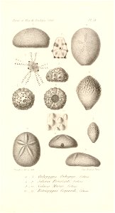 n522_w1150