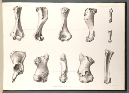 n54_w1150