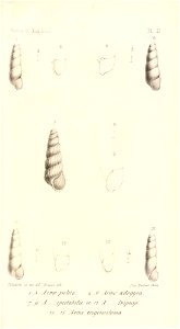 n510_w1150