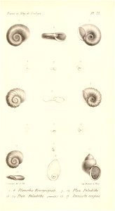 n512_w1150