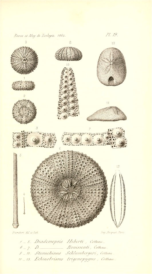 n458_w1150