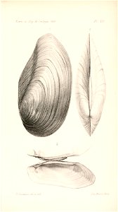 n556_w1150