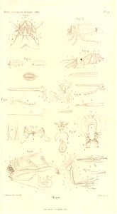 n508_w1150