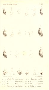 n510_w1150