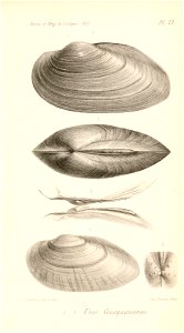 n464_w1150