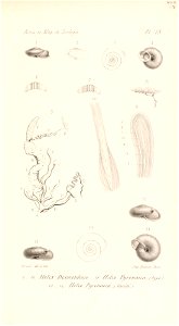 n518_w1150