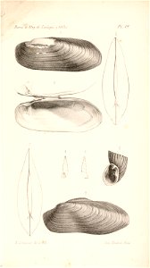 n554_w1150