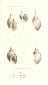 n524_w1150