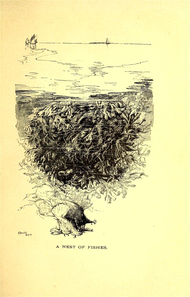 n222_w1150