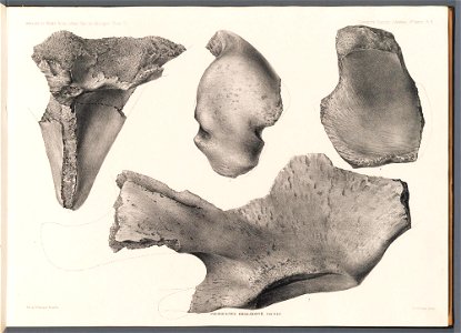 n19_w1150