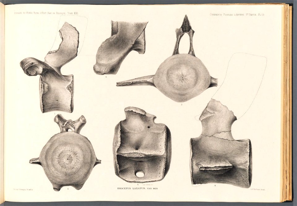 n263_w1150