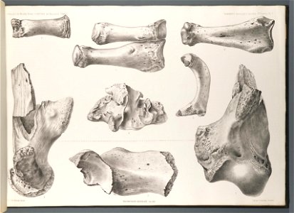 n34_w1150