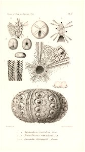 n536_w1150
