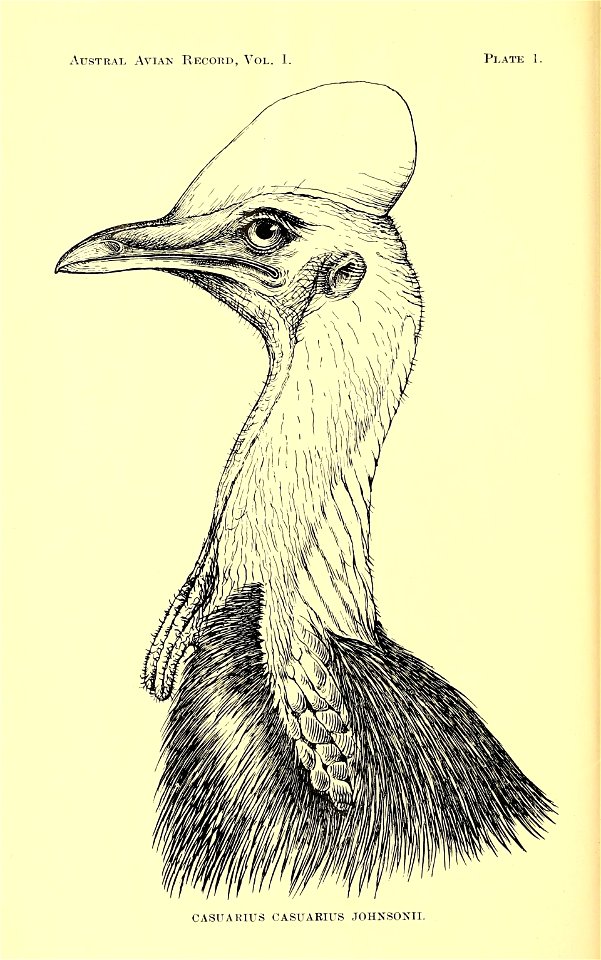 n87_w1150